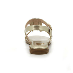 FWL01694LTGD-07